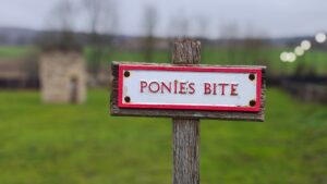 Old white and red sign at Beamish Museum's pit village saying "Ponies Bite".